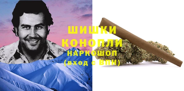 сатива Абдулино