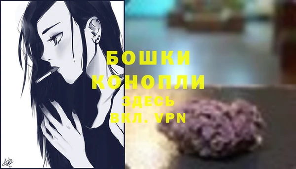 сатива Абдулино