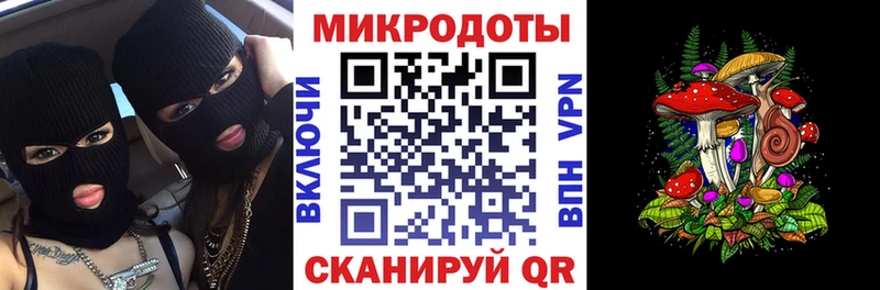 Галлюциногенные грибы мицелий Циолковский