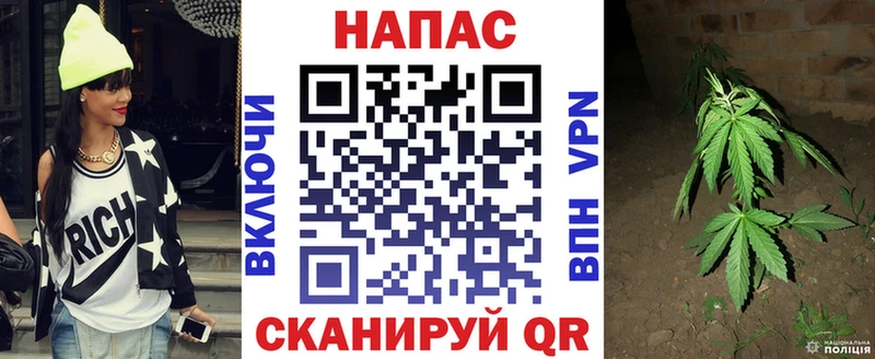 ссылка на мегу   Циолковский  Канабис семена  купить закладку 